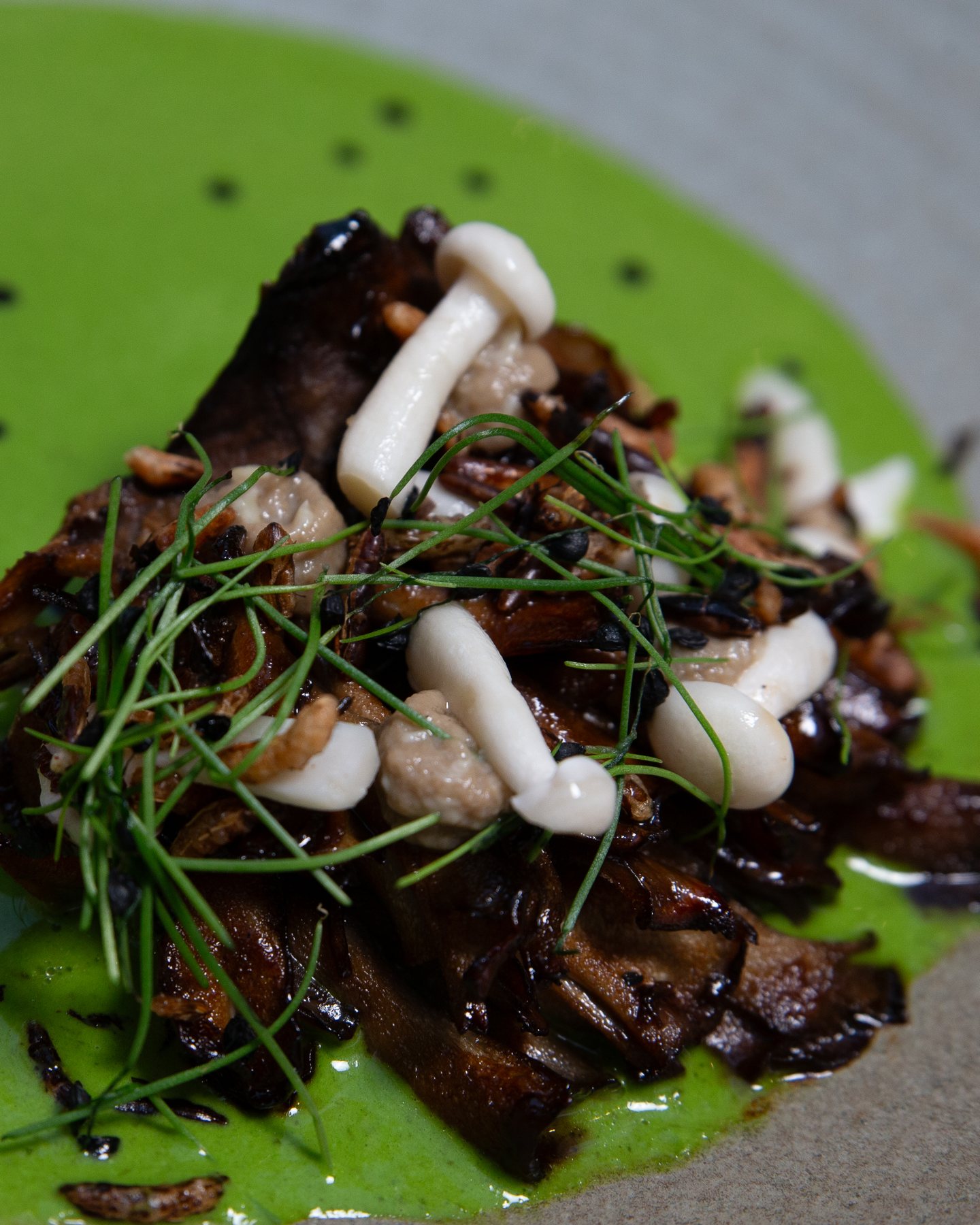 Glazed Maitake Mushroom with Wild Garlic Velouté, Pickled Shallot and Puffed Rice